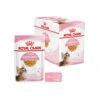 Royal Canin Kitten Sterilised Gelee - Beutel