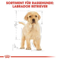 Royal Canin Labrador Retriever Puppy - Hundefutter -Haustierprodukte royal canin labrador retriever puppy hondenvoer 139438 0500 none