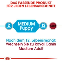 Royal Canin Medium Puppy Wet -Haustierprodukte royal canin medium puppy wet 129245 0500 none