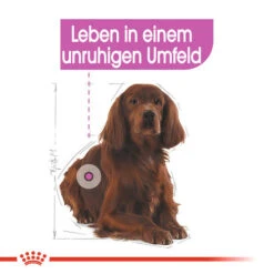 Royal Canin Medium Relax Care - Hundefutter -Haustierprodukte royal canin medium relax care hondenvoer 131183 0500 none