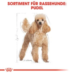 Royal Canin Poodle Adult - Hundefutter 11 Royal Canin Poodle Adult - Hundefutter -Haustierprodukte royal canin poodle adult hondenvoer 139663 0500 none