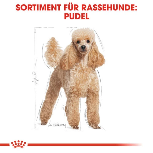 Royal Canin Poodle Adult - Hundefutter 5 Royal Canin Poodle Adult - Hundefutter – Bild 4