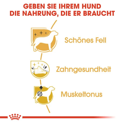 Royal Canin Poodle Adult - Hundefutter 3 Royal Canin Poodle Adult - Hundefutter – Bild 2