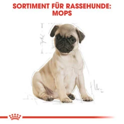 Royal Canin Pug Puppy - Hundefutter -Haustierprodukte royal canin pug puppy hondenvoer 139885 0500 none