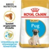 Royal Canin Pug Puppy - Hundefutter -Haustierprodukte royal canin pug puppy hondenvoer 139921 0500 none