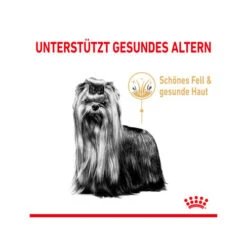 Royal Canin Yorkshire Terrier Adult 8+ -Haustierprodukte royal canin yorkshire terrir adult 8 165217 0500 none