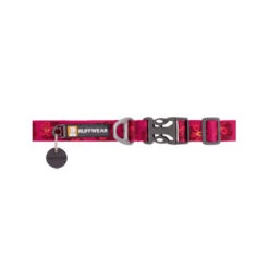 Ruffwear Flat Out Dog Collar - Alpenglow Burst -Haustierprodukte ruffwear flat out dog collar alpenglow burst 204824 0500 none