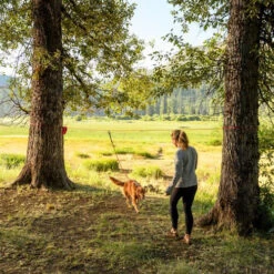 Ruffwear Knot-a-Hitch -Haustierprodukte ruffwear knot a hitch 124643 0500 none