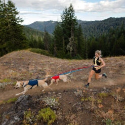 Ruffwear Roamer Leash - Blue Atoll 23 Ruffwear Roamer Leash - Blue Atoll -Haustierprodukte ruffwear roamer leash blue atoll 204800 0500 none