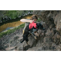 Ruffwear Webmaster Harness -Haustierprodukte ruffwear webmaster harness 204671 0500 none