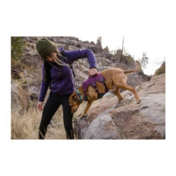 Ruffwear Webmaster Harness -Haustierprodukte ruffwear webmaster harness 217109 0500 none