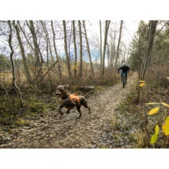 Ruffwear Webmaster Harness -Haustierprodukte ruffwear webmaster harness 217113 0500 none