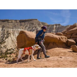 Ruffwear Webmaster Harness -Haustierprodukte ruffwear webmaster harness 217118 0500 none