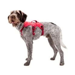 Ruffwear Webmaster Harness -Haustierprodukte ruffwear webmaster harness 88447 0500 none