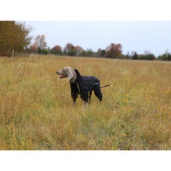 RukkaPets Protect Overall 9 RukkaPets Protect Overall -Haustierprodukte rukkapets protect overall zwart 216401 0500 none