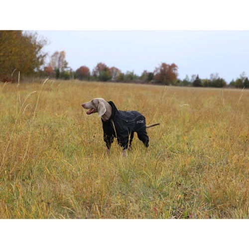 RukkaPets Protect Overall 5 RukkaPets Protect Overall – Bild 3