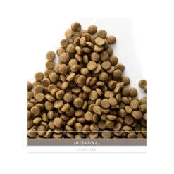 SANIMED Intestinal Cat 11 SANIMED Intestinal Cat -Haustierprodukte sanimed intestinal cat 159269 0500 none