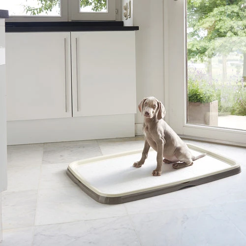 Savic Puppy Trainer + Pads 7 Savic Puppy Trainer + Pads – Bild 5