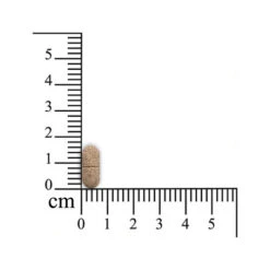 Feelings Control -Haustierprodukte sensipharm feelings control hond en kat 174604 0500 none