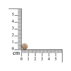 Sensipharm Sneeze Aid Katze -Haustierprodukte sensipharm sneeze aid kat 174685 0500 none