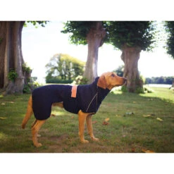 Siccaro WetDog SupremePro -Haustierprodukte siccaro wetdog supremepro 20 216995 0500 none