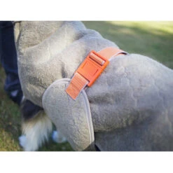 Siccaro WetDog SupremePro -Haustierprodukte siccaro wetdog supremepro 20 216999 0500 none