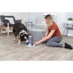 Trixie Dog Activity Gambling Tower 14 Trixie Dog Activity Gambling Tower -Haustierprodukte trixie dog activity gambling tower 179852 0500 none