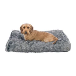 Trixie Kissen Yelina 16 Trixie Kissen Yelina -Haustierprodukte trixie kussen yelina 216146 0500 none