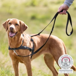 Trixie Lead'n Walk Soft Hundegeschirr 5 Trixie Lead'n Walk Soft Hundegeschirr -Haustierprodukte trixie leadn walk soft hondentuig 213905 0500 none