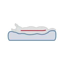 Trixie Vital Orthopädische Matratze Lonni -Haustierprodukte trixie vital ligmat lonni 217058 0500 none