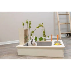 Trixie Futterstation Für Nager 9 Trixie Futterstation Für Nager -Haustierprodukte trixie voederstation voor knaagdieren 207428 0500 none