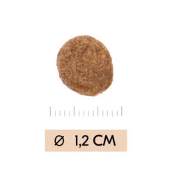 Vetality Gastrointestinal - Hundefutter -Haustierprodukte vetality gastrointestinal hondenvoer 195449 0500 none