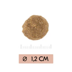 Vetality Gastrointestinal Low Fat - Hundefutter -Haustierprodukte vetality gastrointestinal low fat hondenvoer 195467 0500 none