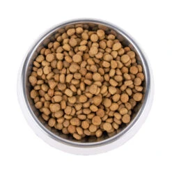 Vetality Metabolic & Mobility - Hundefutter -Haustierprodukte vetality metabolic mobility hondenvoer 195275 0500 none