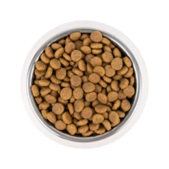 Vetality Puppy Maxi - Hundefutter -Haustierprodukte vetality puppy maxi hondenvoer 213665 0500 none