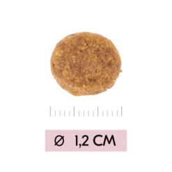 Vetality Puppy Maxi - Hundefutter -Haustierprodukte vetality puppy maxi hondenvoer 213668 0500 none