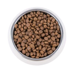 Vetality Renal - Katzenfutter -Haustierprodukte vetality renal kattenvoer 195263 0500 none