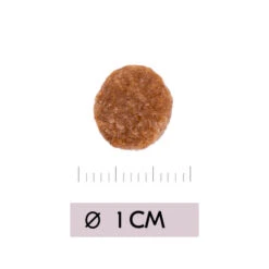 Vetality Renal - Katzenfutter -Haustierprodukte vetality renal kattenvoer 195458 0500 none