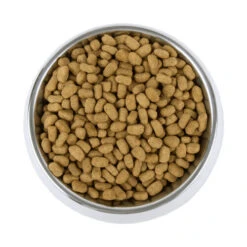 Vetality Weight Management - Hundefutter -Haustierprodukte vetality weight management hondenvoer 195227 0500 none