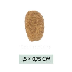 Vetality Weight Management - Hundefutter -Haustierprodukte vetality weight management hondenvoer 195455 0500 none