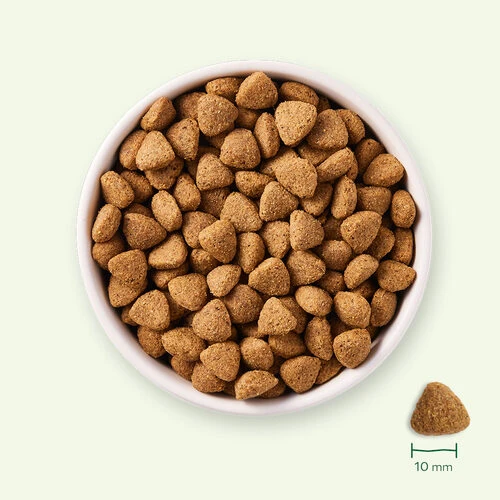 Yarrah - Trockenfutter Vegetarisch Bio 4 Yarrah - Trockenfutter Vegetarisch Bio – Bild 2