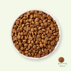 Yarrah - Trockenfutter Für Welpen Mit Huhn Bio -Haustierprodukte yarrah droogvoer puppy bio 199694 0500 none