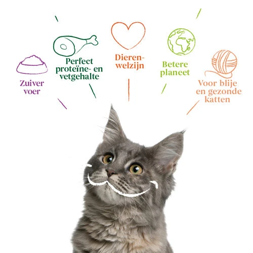 Yarrah - Katzenfutter Bröckchen Huhn Und Fish Mit Spirulina Bio 4 Yarrah - Katzenfutter Bröckchen Huhn Und Fish Mit Spirulina Bio – Bild 2