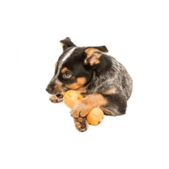 Zogoflex Qwizl -Haustierprodukte zogoflex qwizl 136852 0500 none