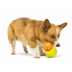 Zogoflex Toppl - Treat Toy -Haustierprodukte zogoflex toppl treat toy 219464 0500 none